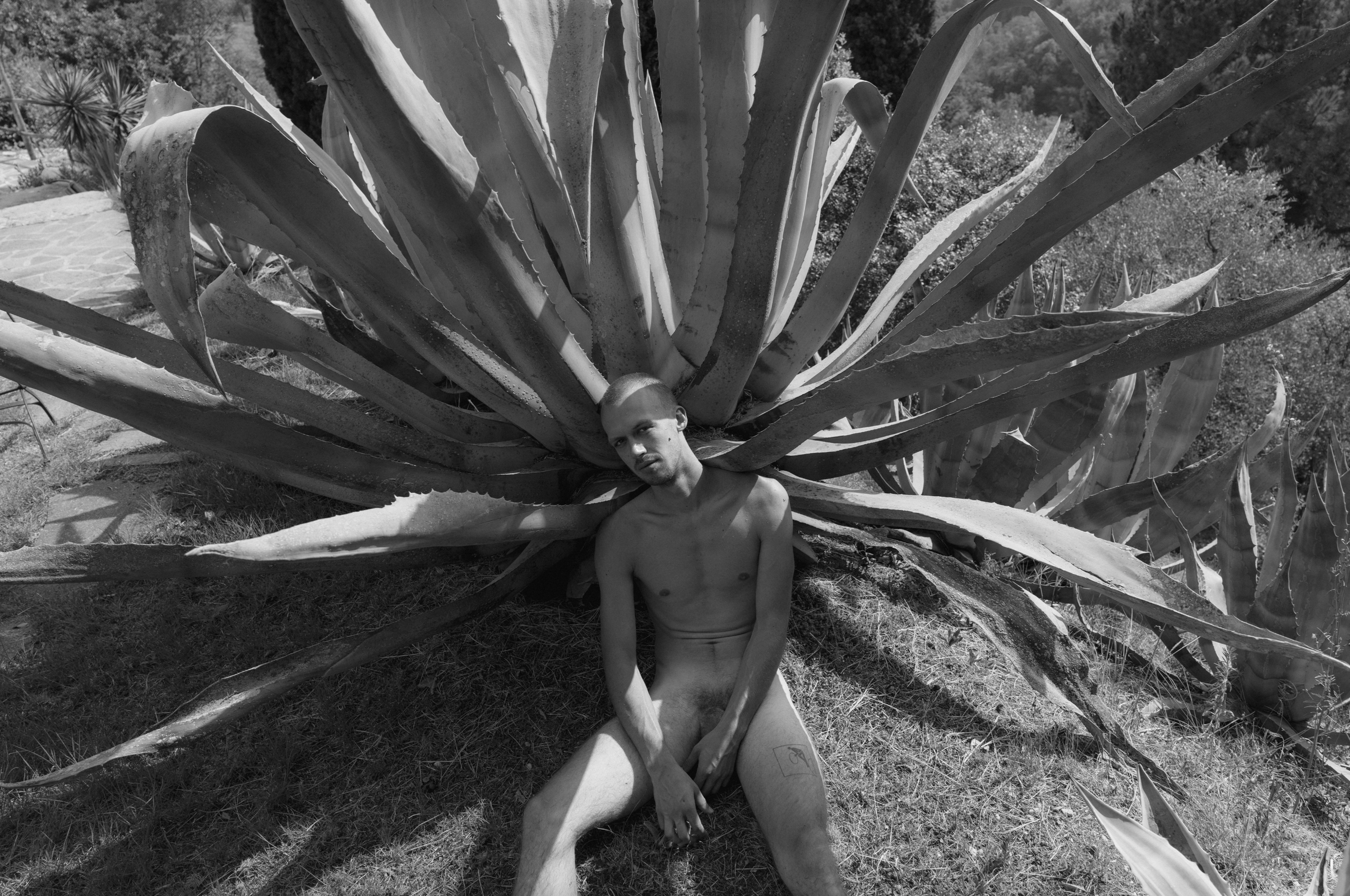 A shirtless man with tattoos sitting on the ground among large agave plants with thick, pointed leaves.