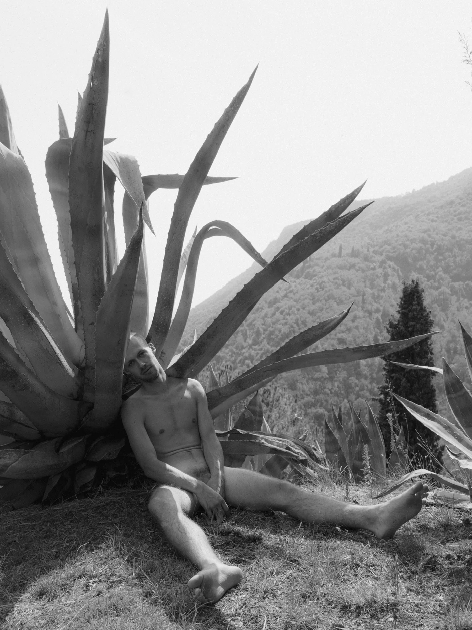 A shirtless man sitting or leaning against a large agave plant outdoors, with a hilly landscape and trees in the background, in black and white.