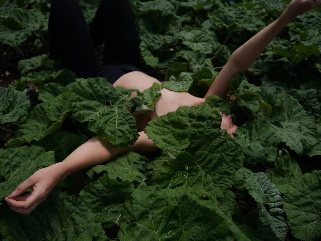 Person lying nude among large green leaves in a lush outdoor setting.