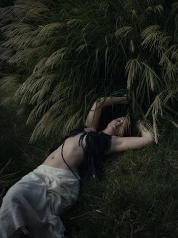 Person lying on the ground next to tall plants.