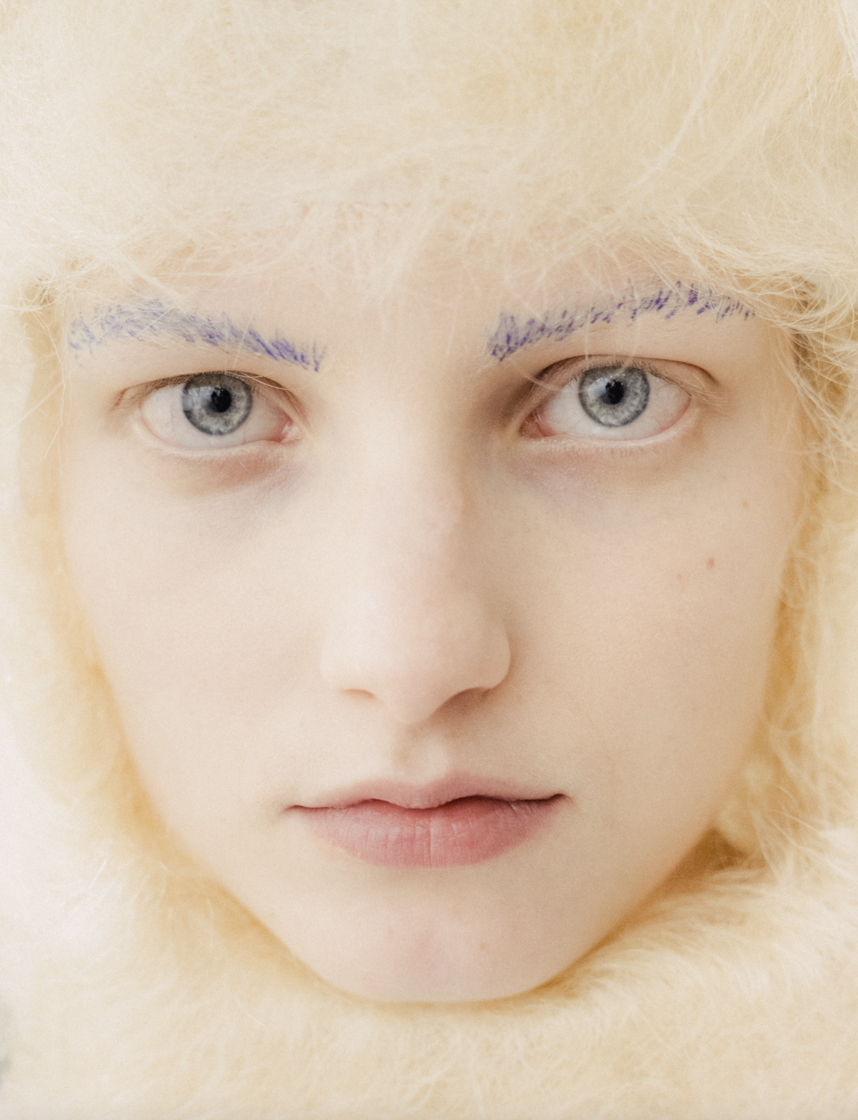 Close-up of a person with platinum blonde hair, pale skin, light blue eyes, and blue eyebrows, surrounded by soft beige fur.