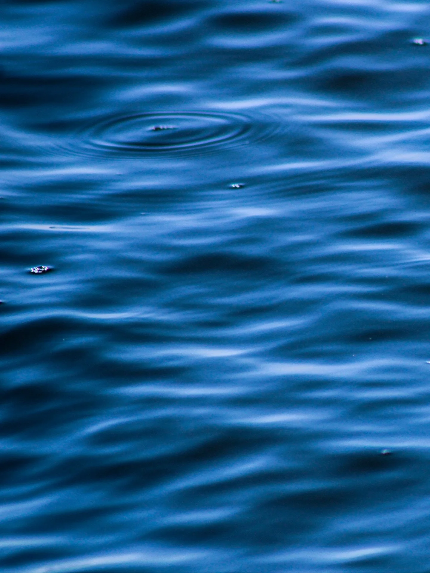 SEE YA IN THE MORNING @intlightning &amp; @savannahyachtclub