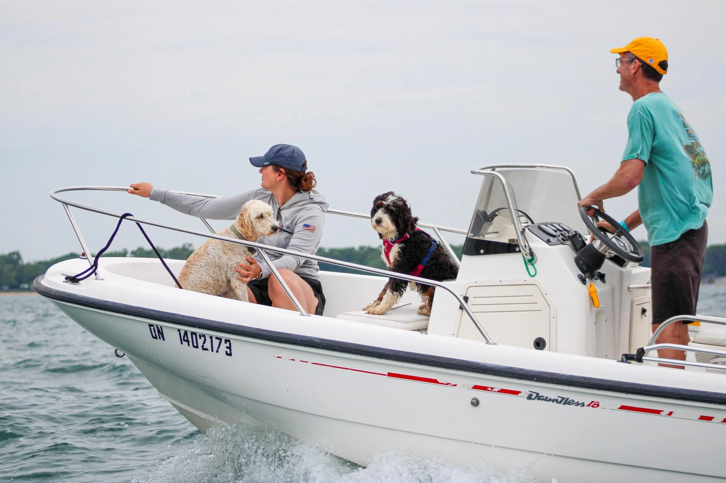 do you think these dogs know how lucky they are