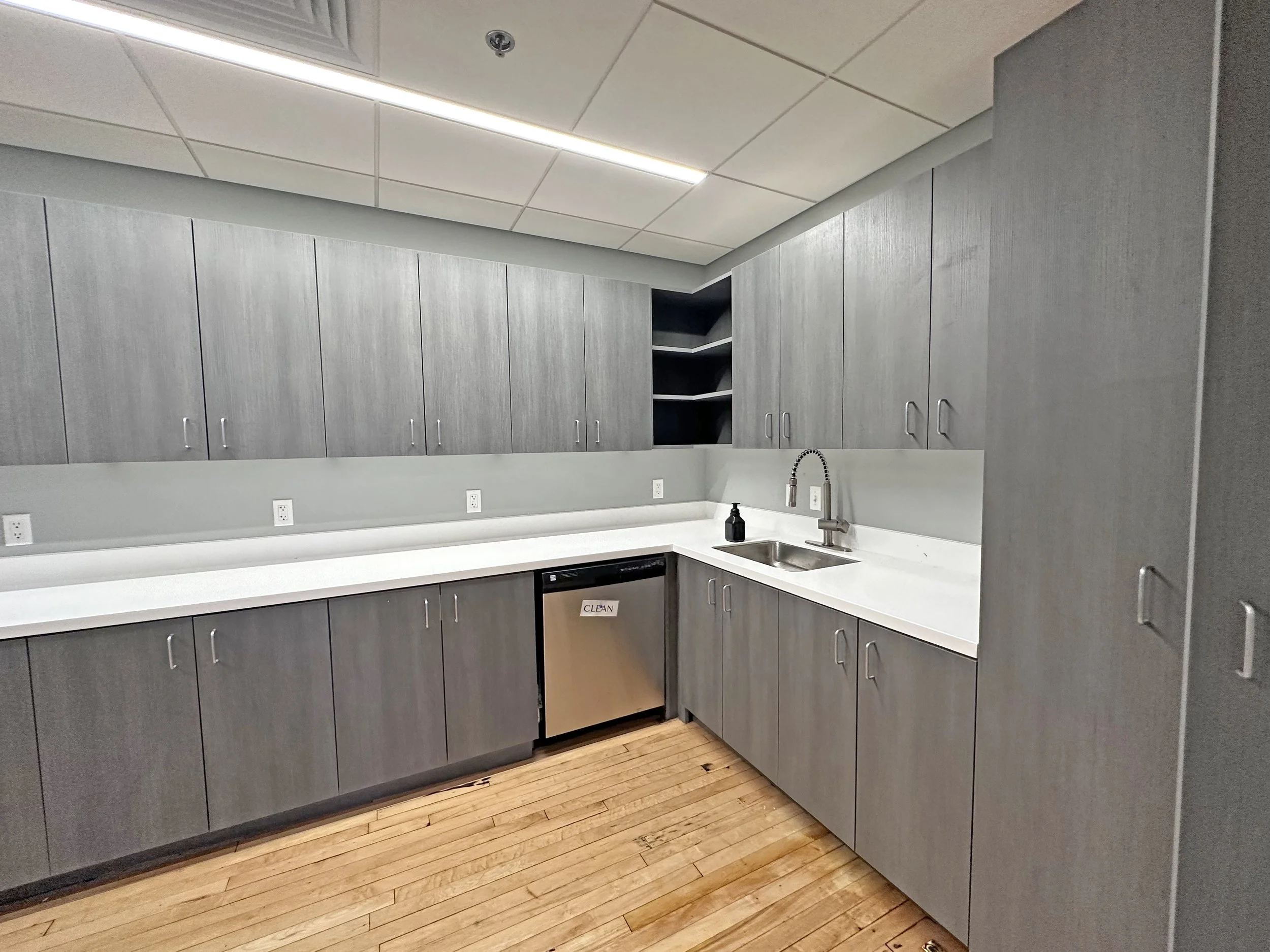 Modern kitchen with gray cabinets, white countertop, stainless steel dishwasher, and hardwood floor.