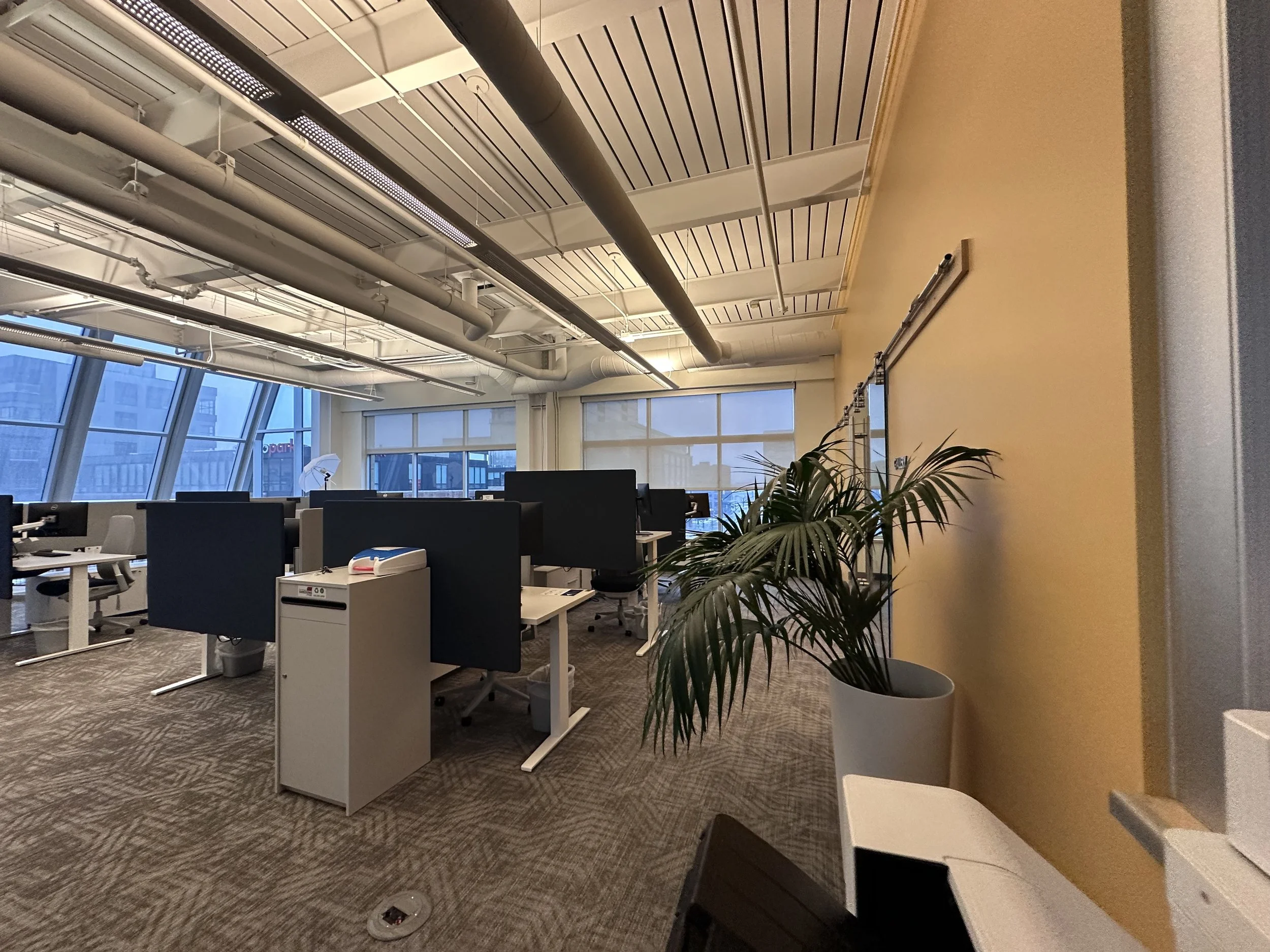 Office with work desks, computer monitors, a potted plant, large windows, and an industrial ceiling with exposed pipes.