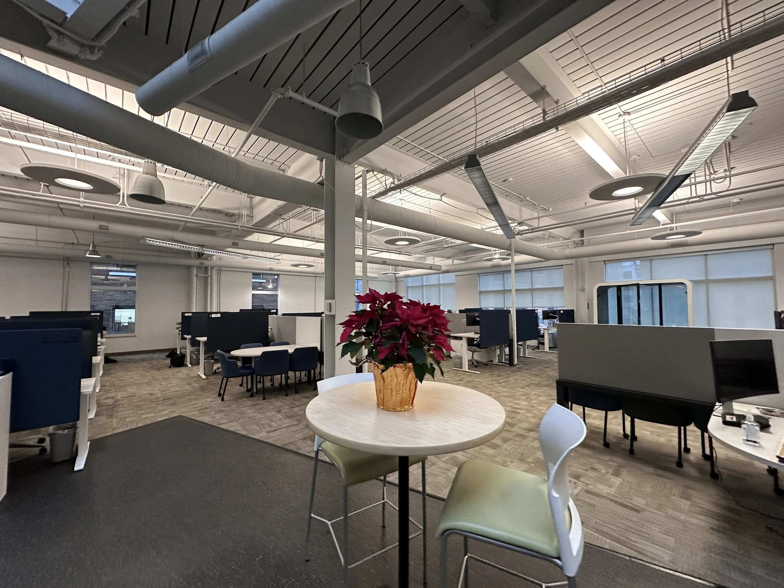 Empty modern office with workstations, a small round table with chairs, and a poinsettia plant in a pot on the table