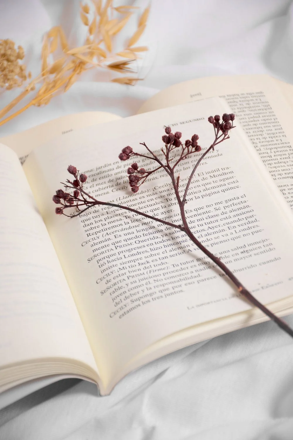 An open book with a sprig of dried purple flowers resting on its pages, and some dried plants placed in the background on a light-colored fabric surface.