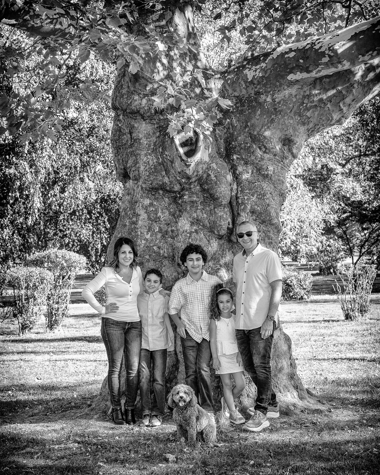 JOY_9973-Edit-Edit-Edit.jpg