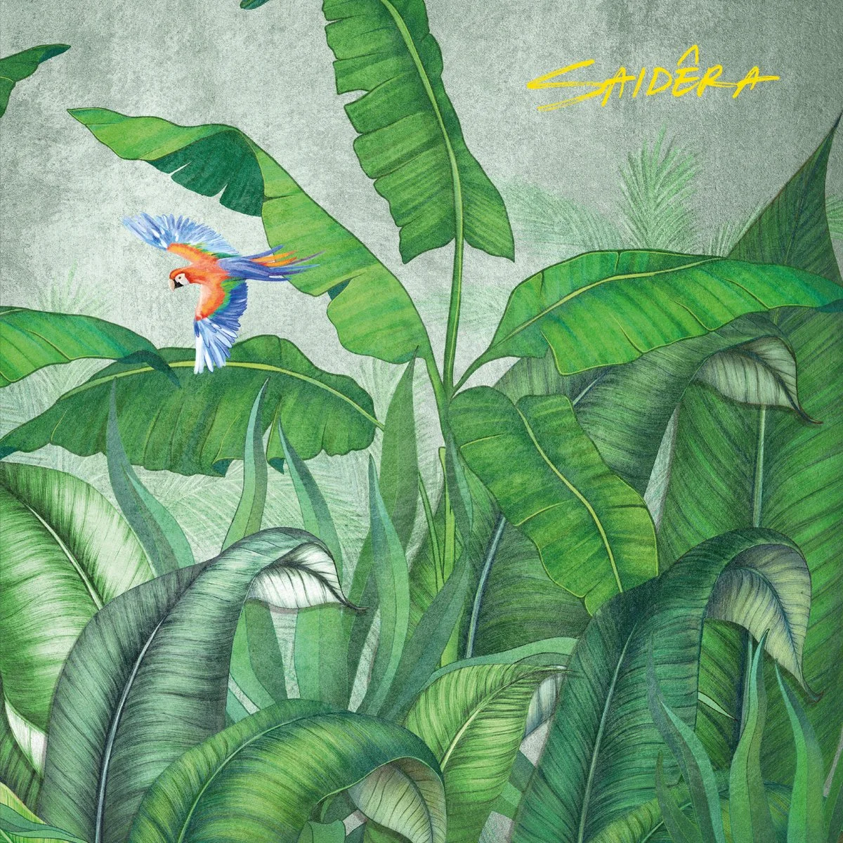 Saidera – Luzes Da Cidade 12"