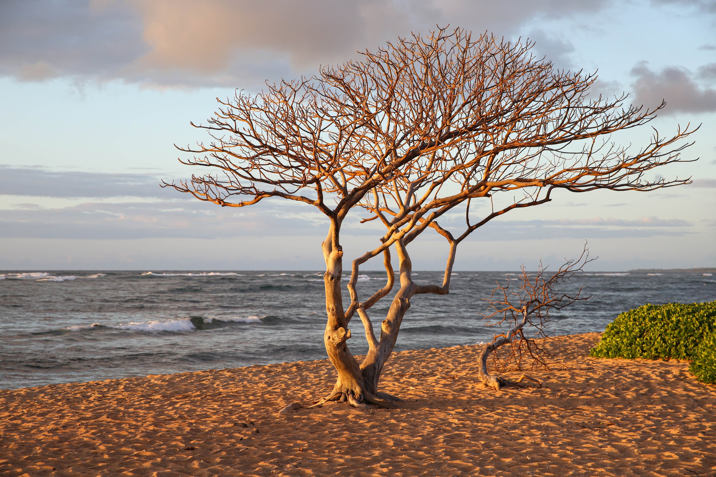 R88A0912-Edit-2.jpg