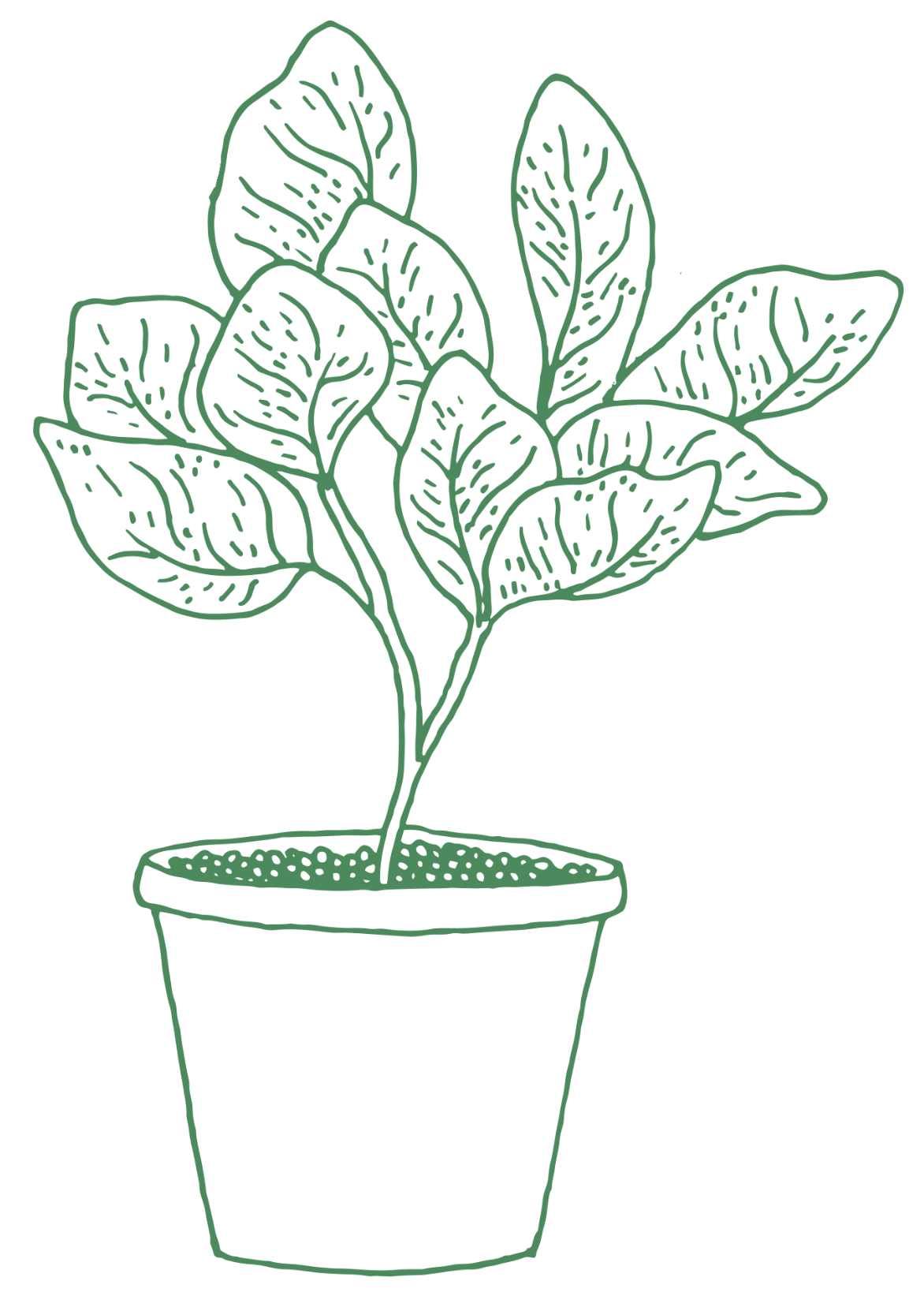 SupportCo Studios offers fractional customer service to help small businesses optimize performance.