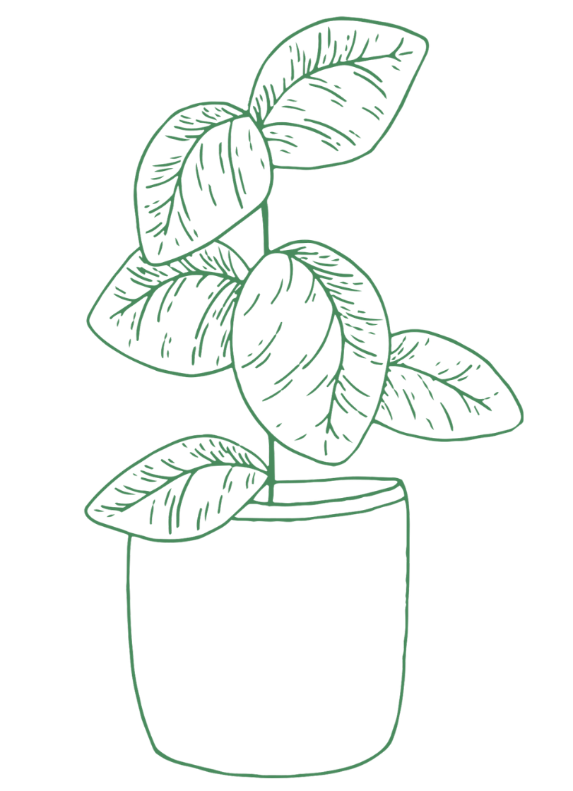 SupportCo Studios helps small business develop their customer service process