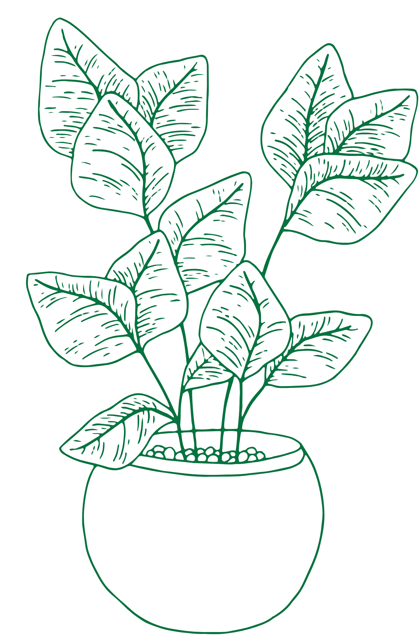 SupportCo Studios provides a fractional customer support manager and handles day customer service operations