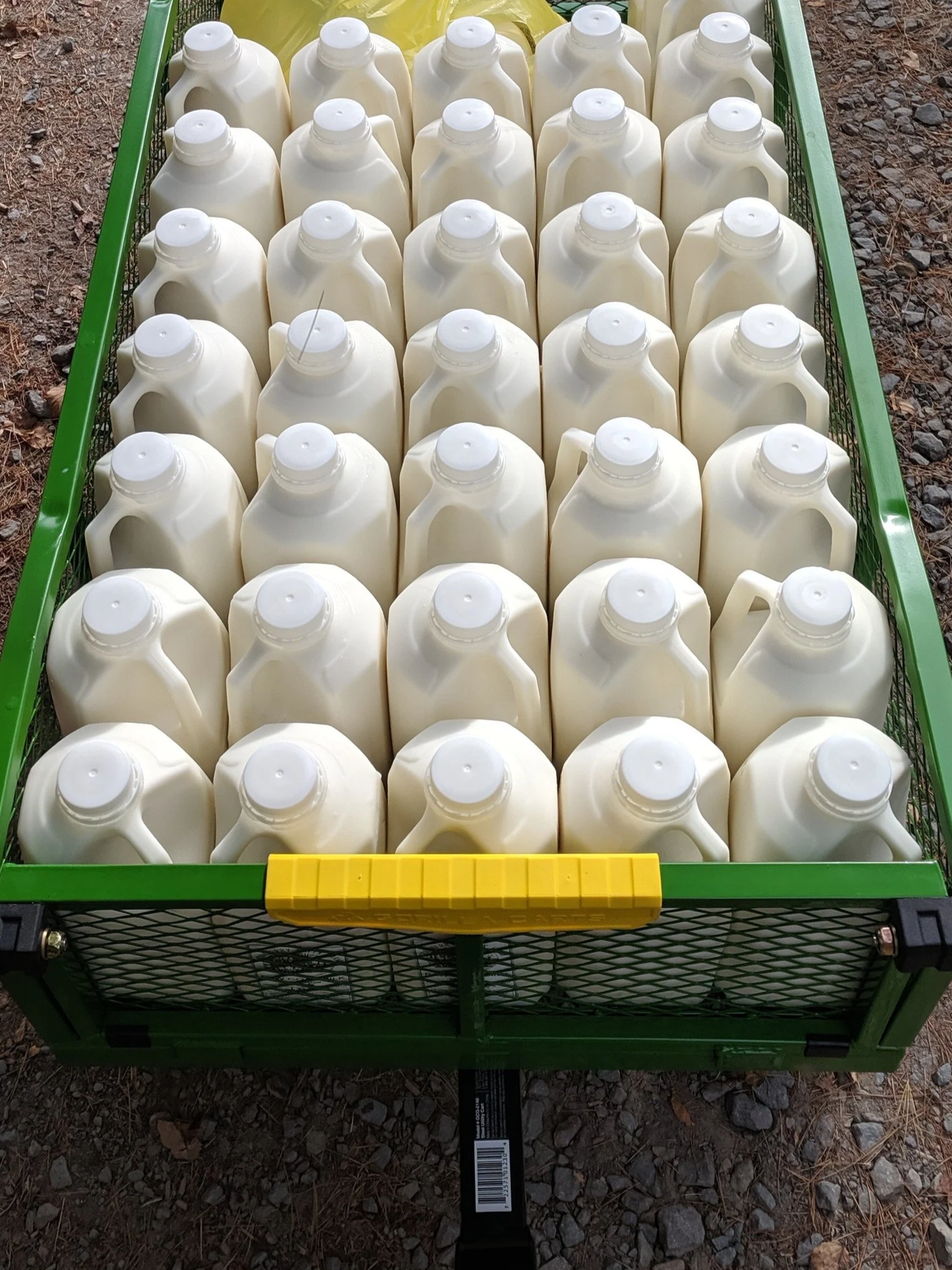 Raw Goat Milk Subscription