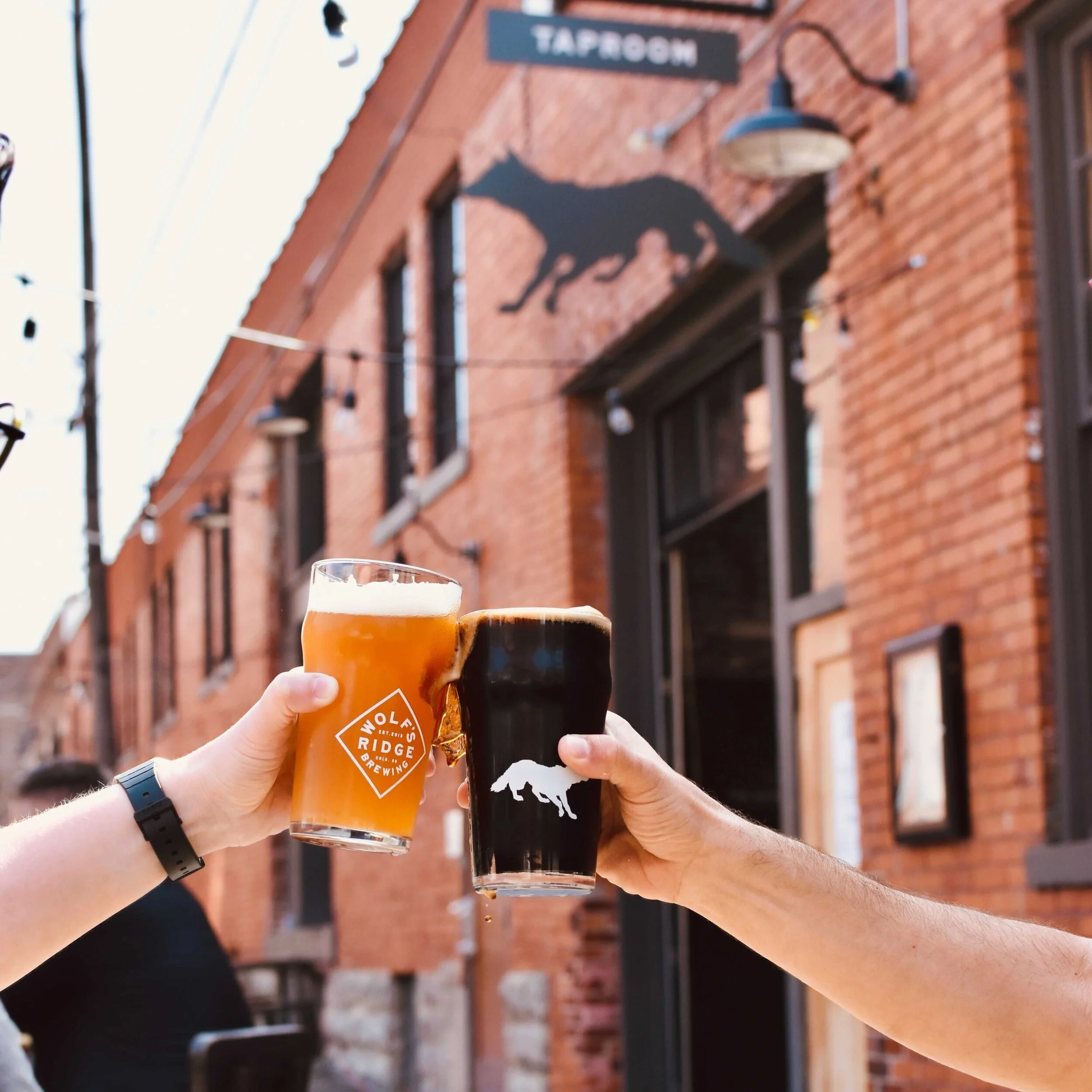Two people clinking glasses of beer in front of a brick building with a black wolf silhouette and sign that reads 'Taproom'