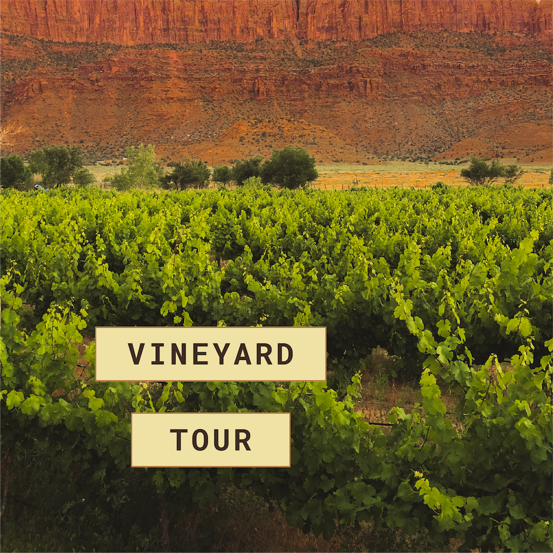 Vineyard Tour • $50