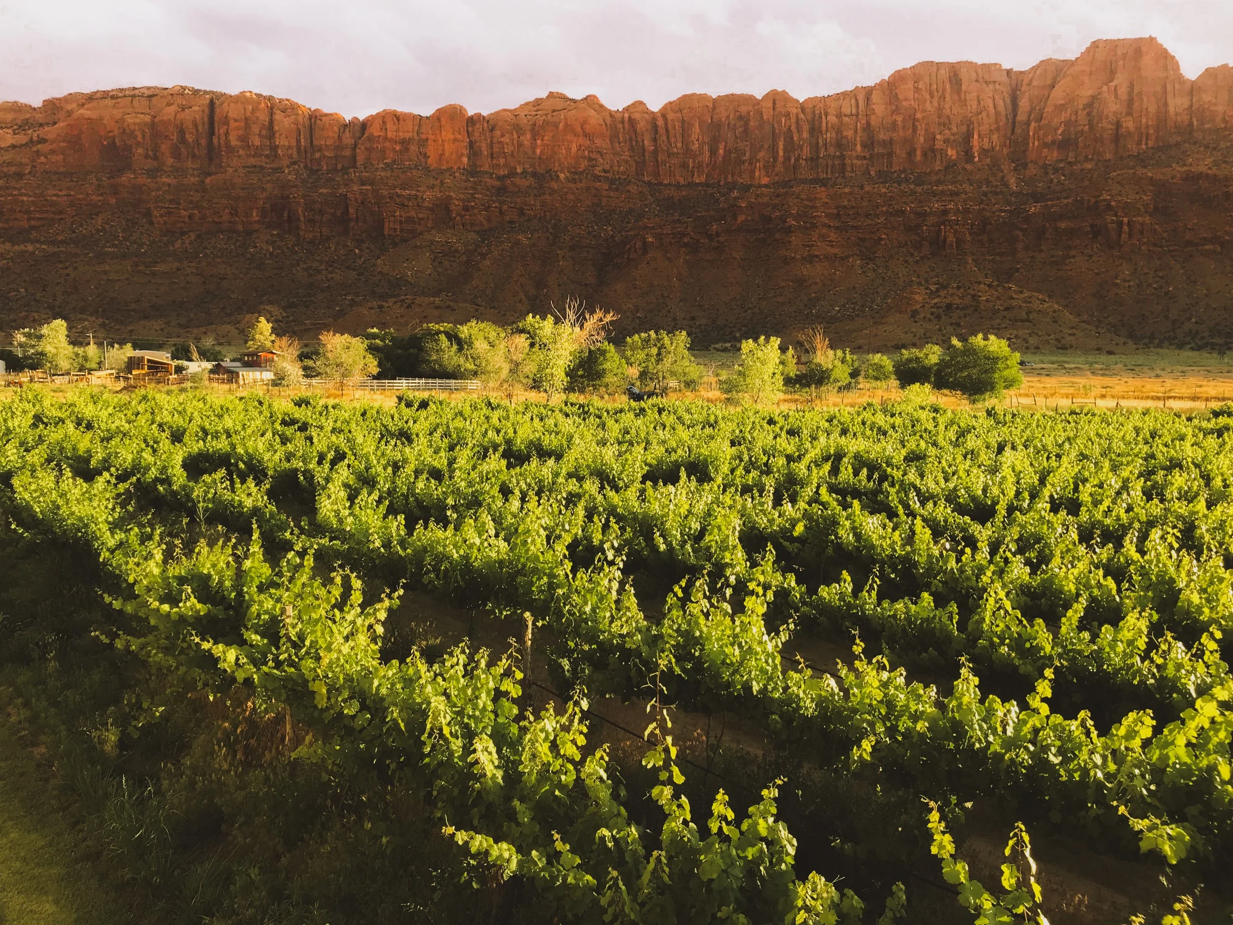 Moabwinery-notebook.jpg