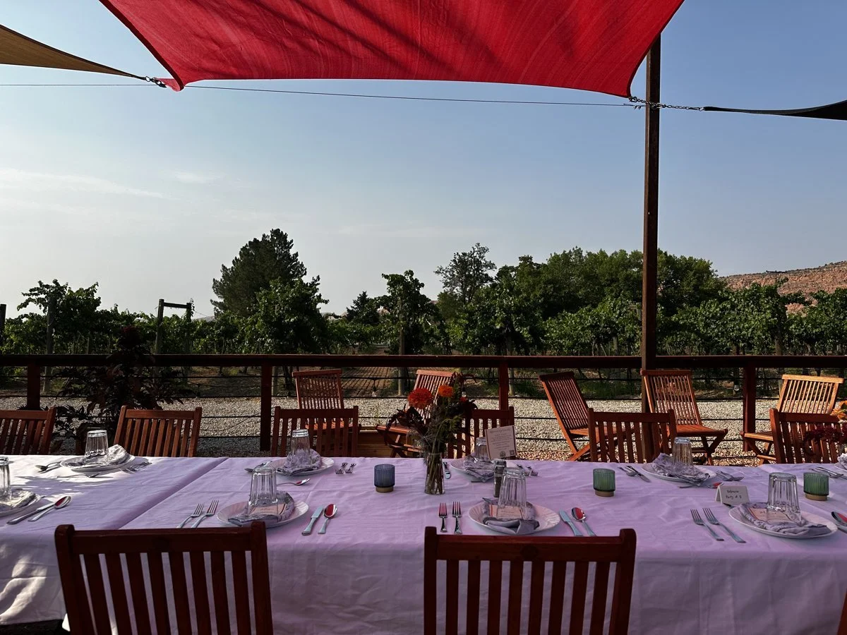An Evening Under the Vines: Hosting the Youth Garden Project's Harvest Fundraiser Dinner