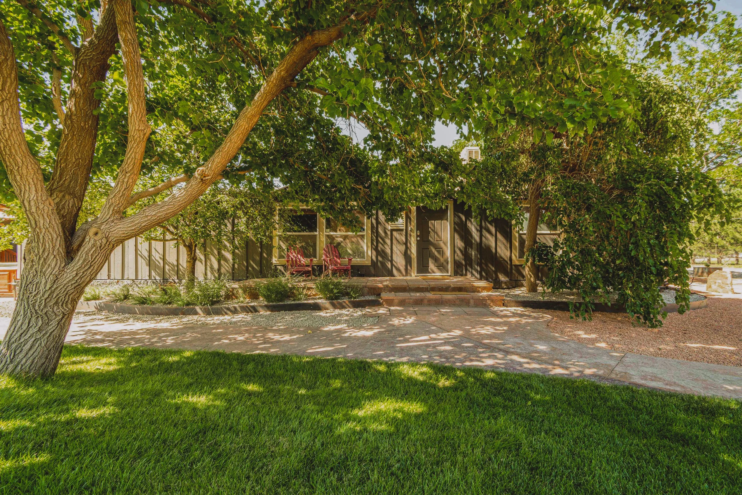 A cozy front porch of a house with two red Adirondack chairs, surrounded by lush greenery, including a large tree casting shadows on the patio area.