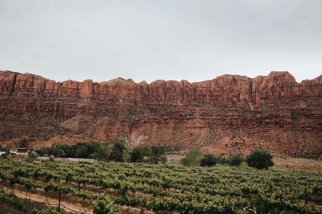 A landscape with red rock cliffs and a green vineyard at the base.