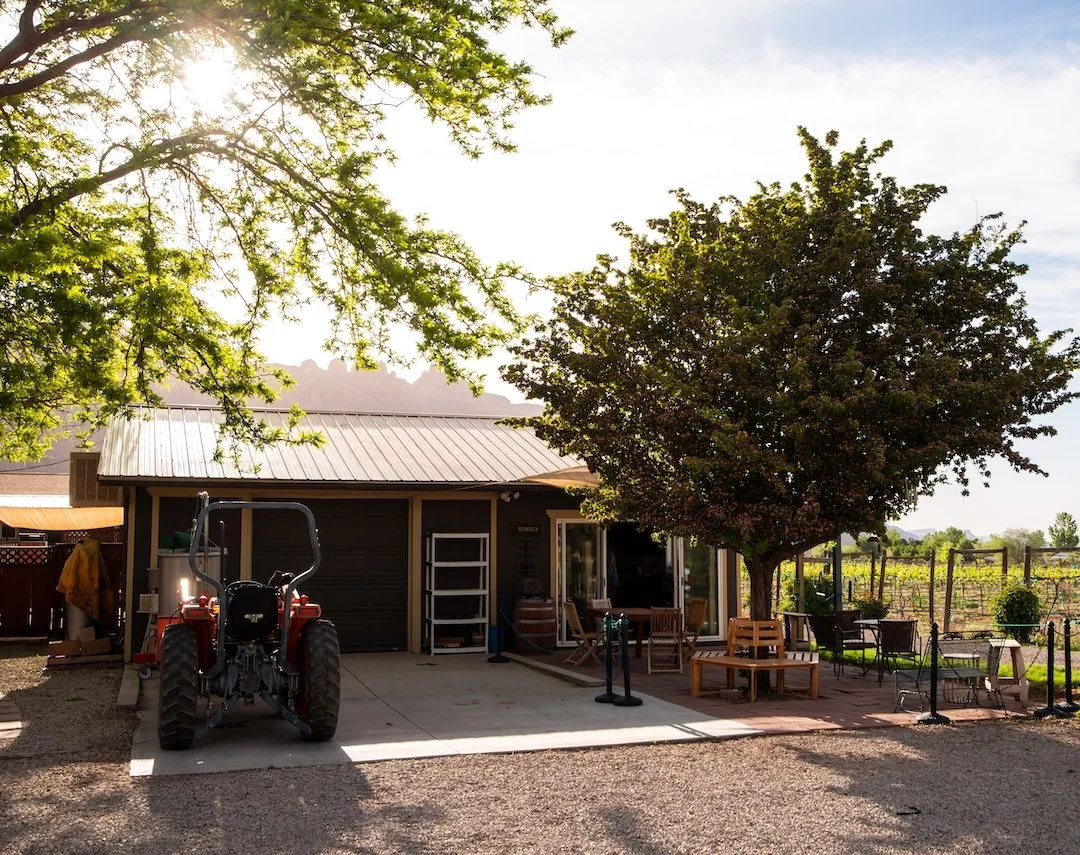 A backyard scene with a house, a large tree, outdoor seating, and a tractor parked on a concrete pad.