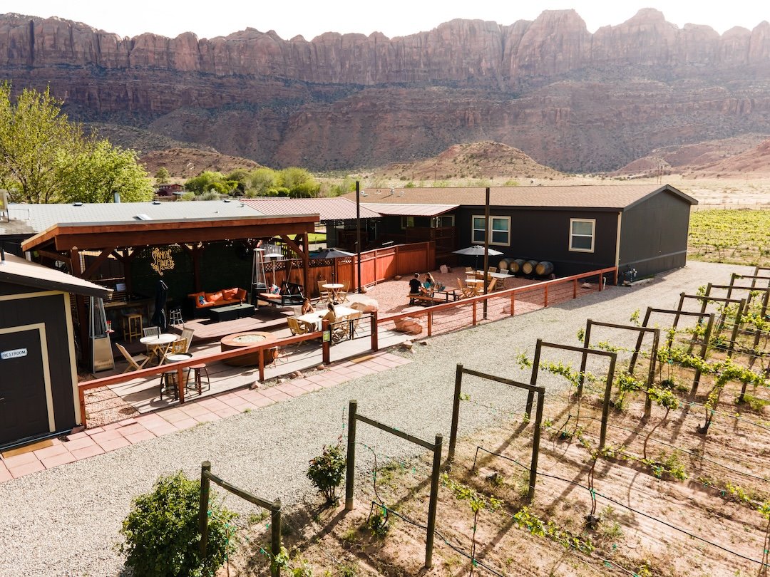 A vineyard with rows of young grapevines and a patio with tables and chairs, surrounded by a fence, set against a backdrop of red canyon cliffs.