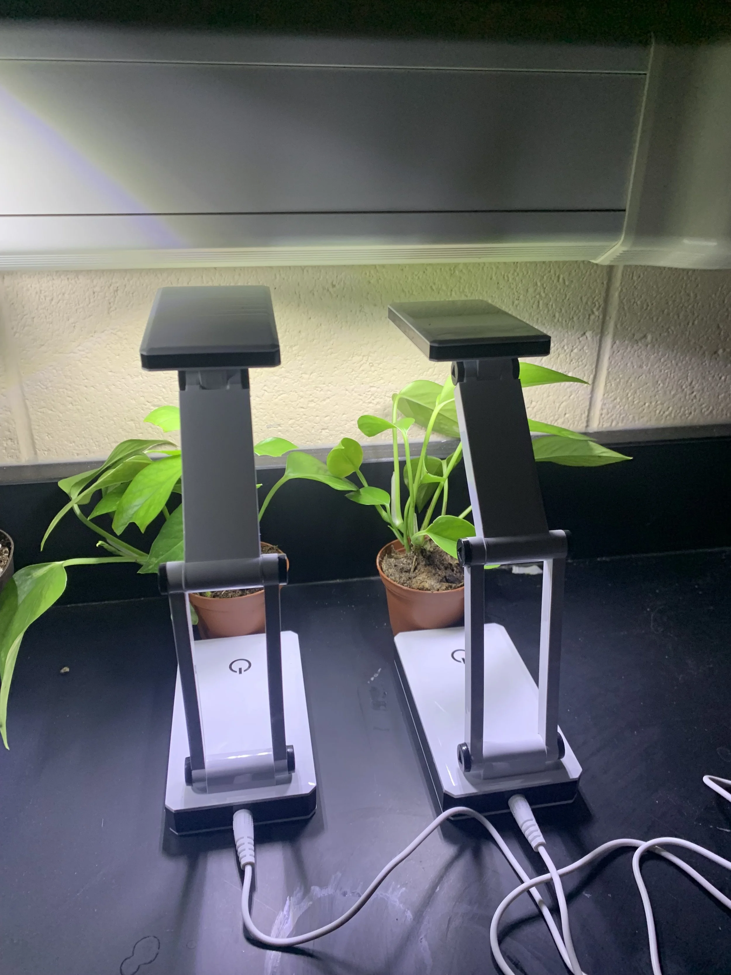 Independent Research