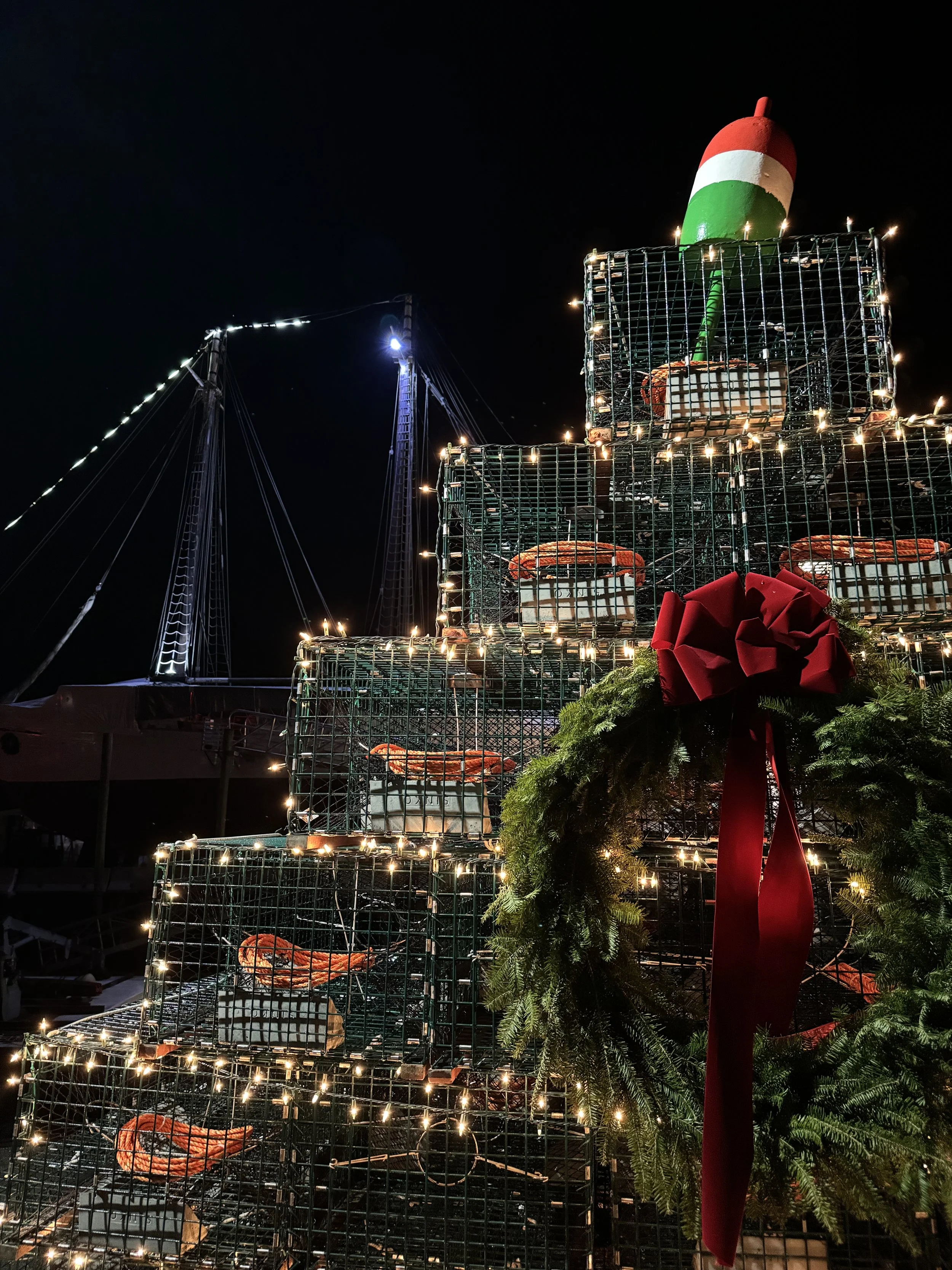 Lobster trap tree half.JPG