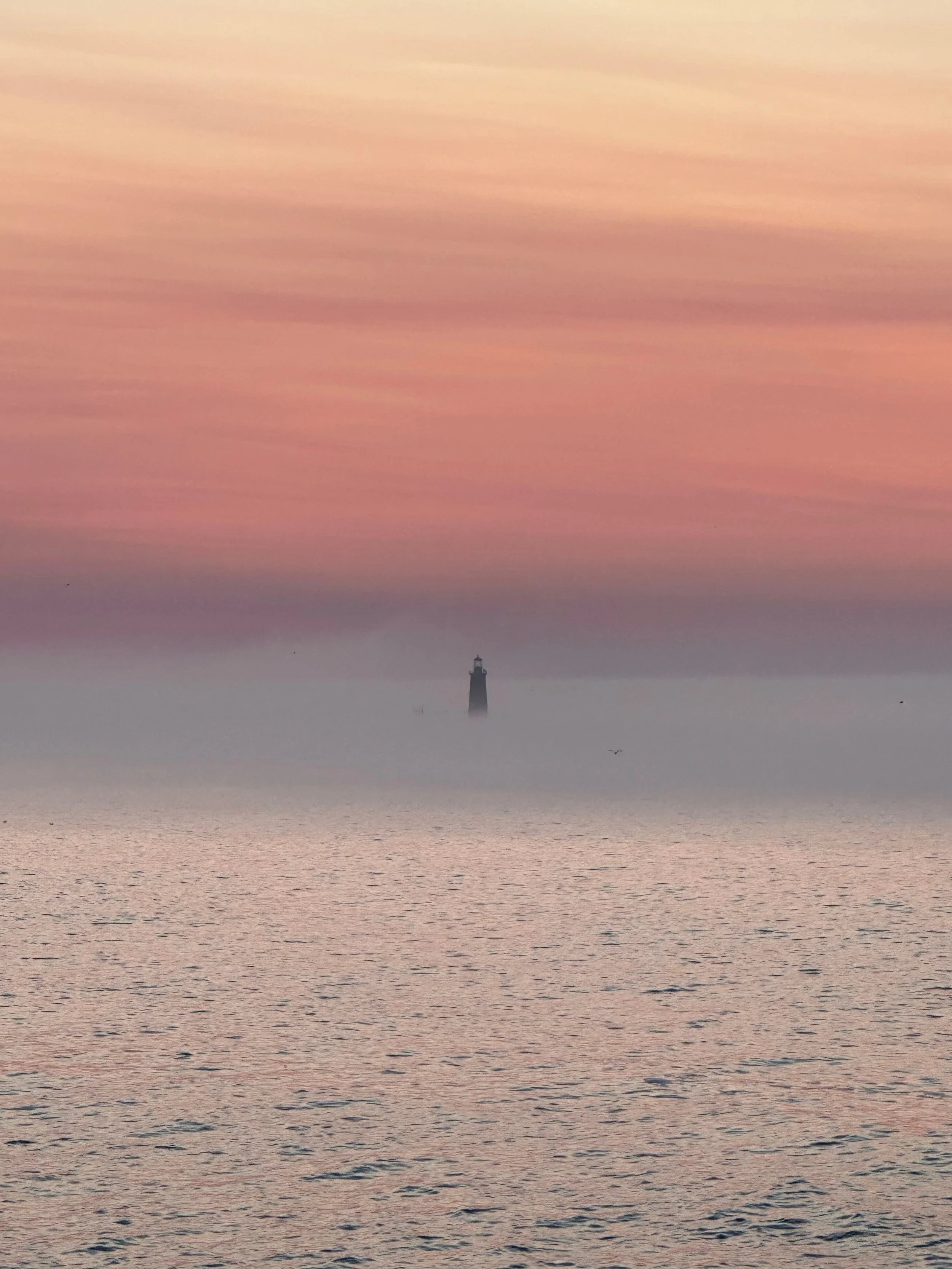 Casco bay pink sunrise.jpg
