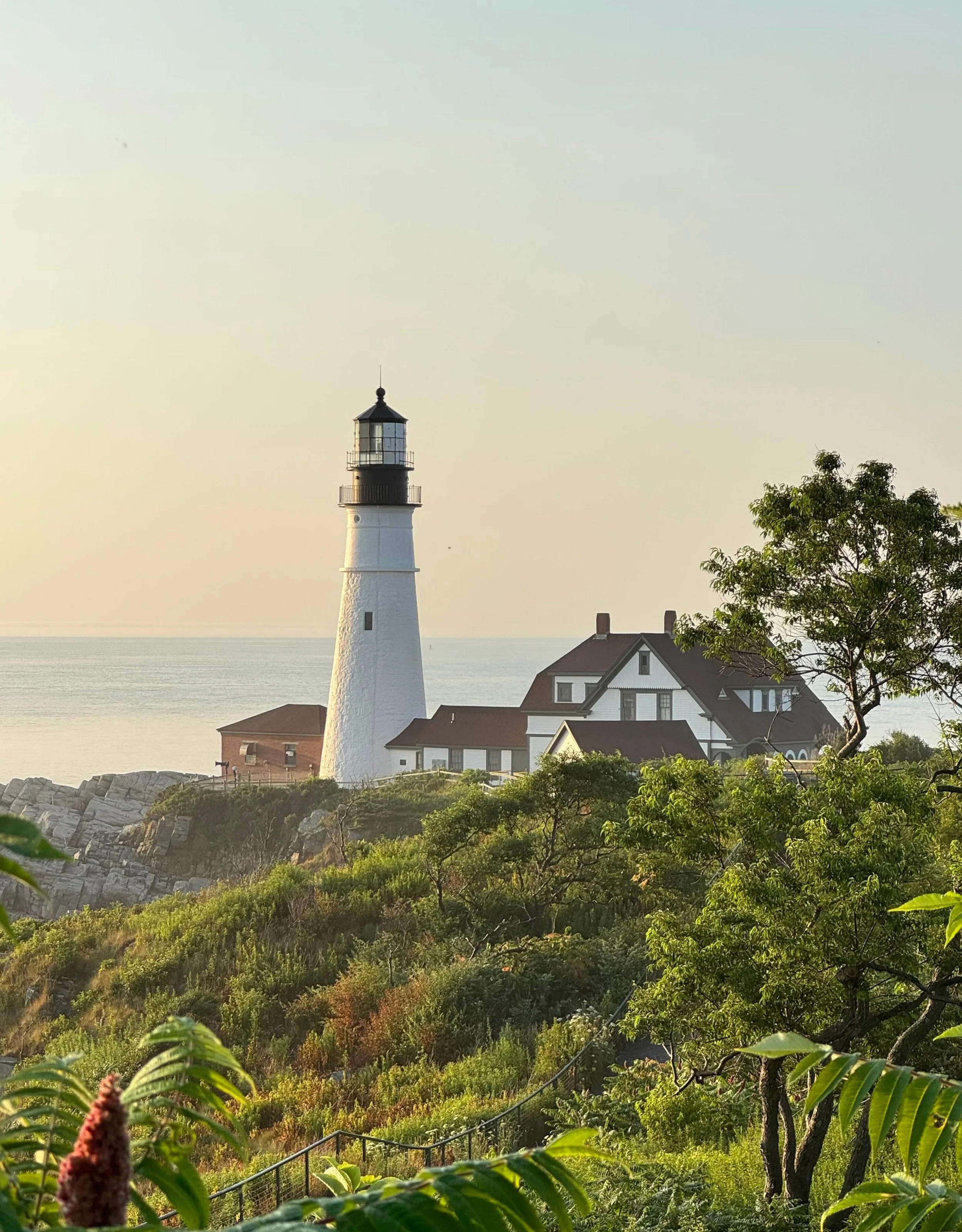 Portland Head light greenery.jpg
