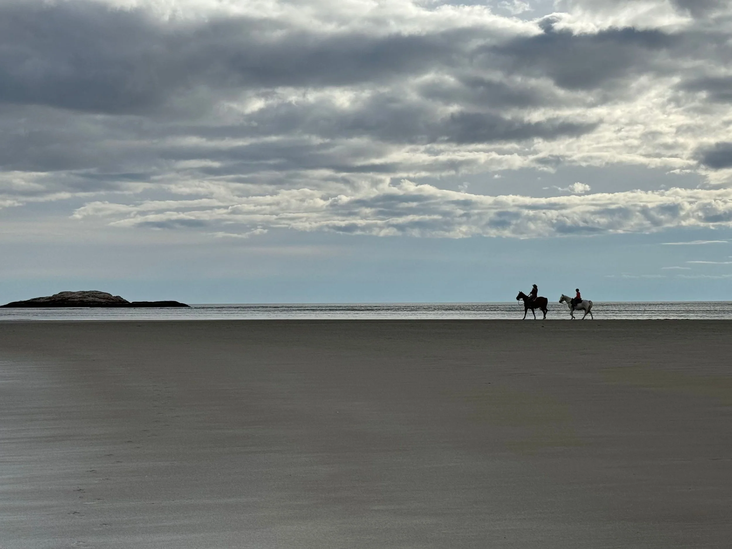 Horses on Popham.jpg