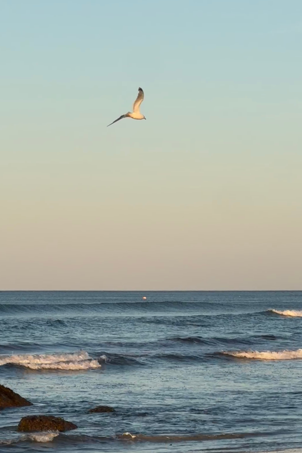Priscilla Beach Plymouth MA.png