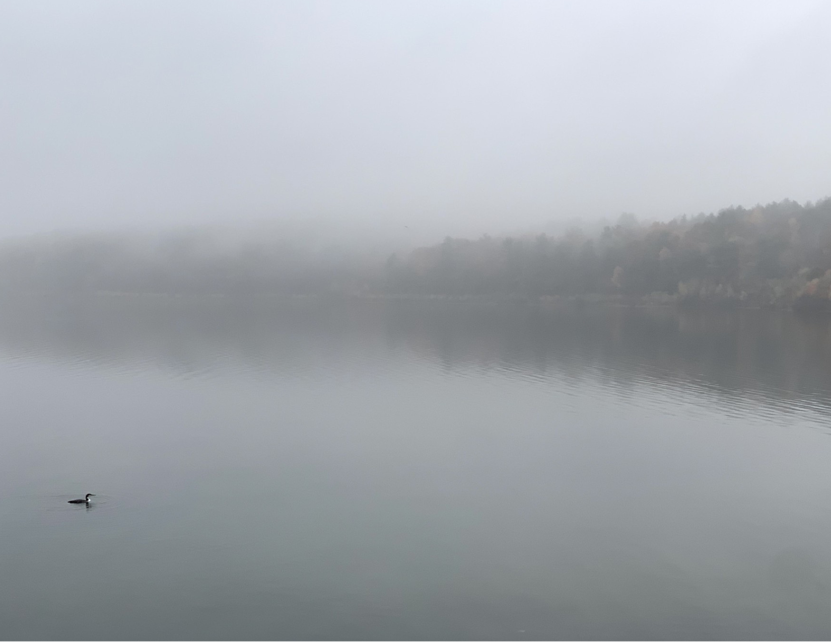 Wachusett Reservoir Foggy Morning - Copy.png