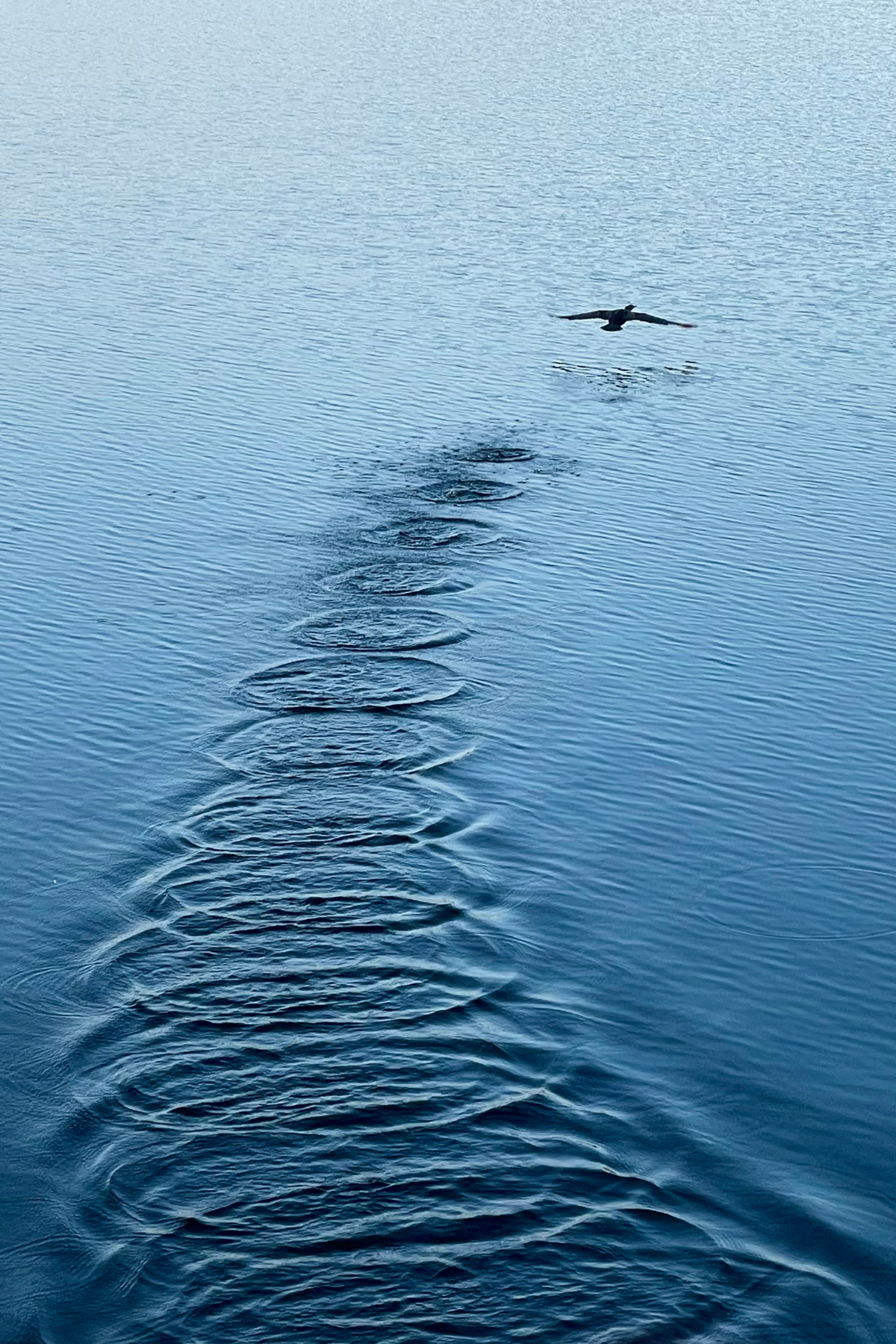 Ripples Note Card - Copy.png