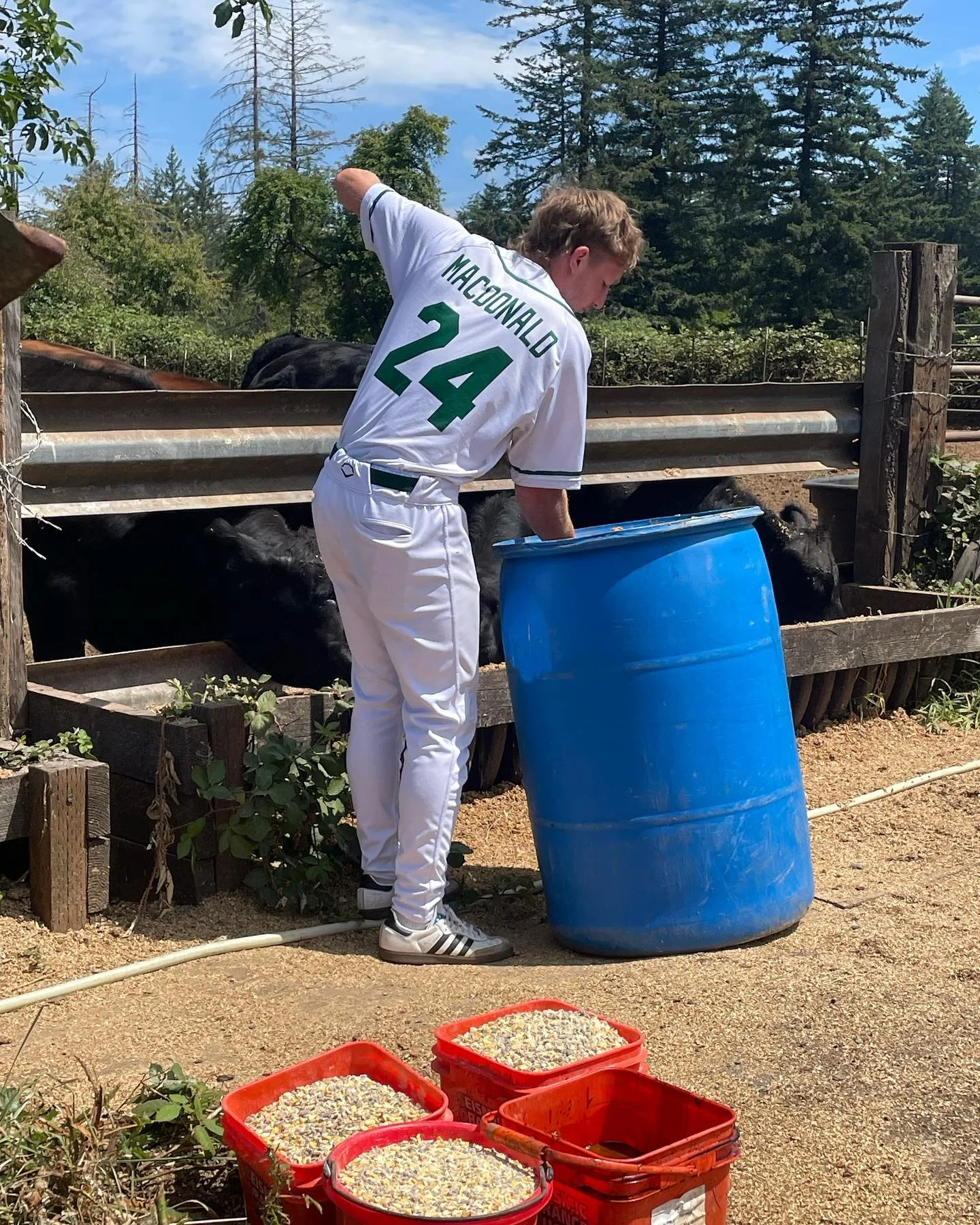 When it&rsquo;s Championship Sunday but the steers need to be fed.