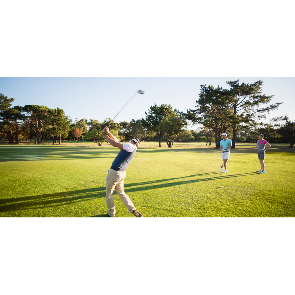 Pg9 Miyabi3 Photo2.png