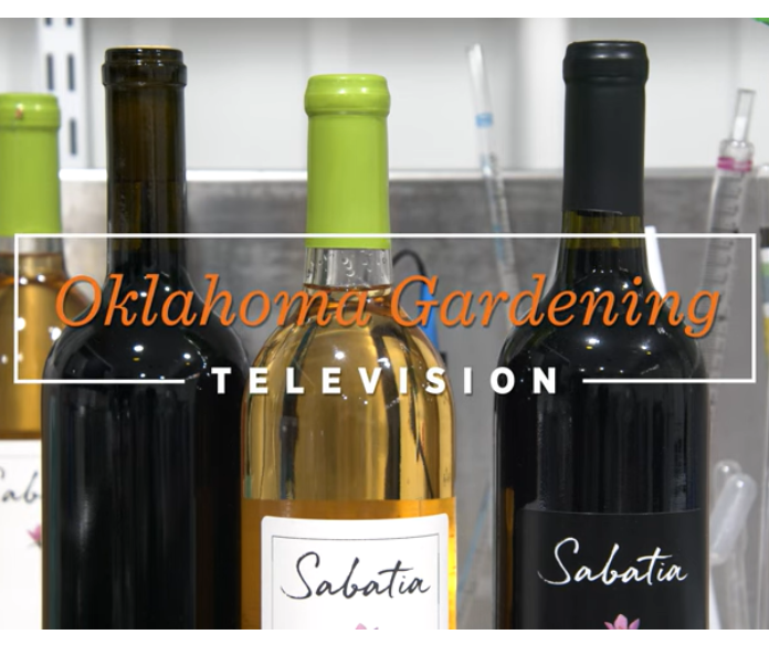 Oklahoma Gardening - Sabatia interview