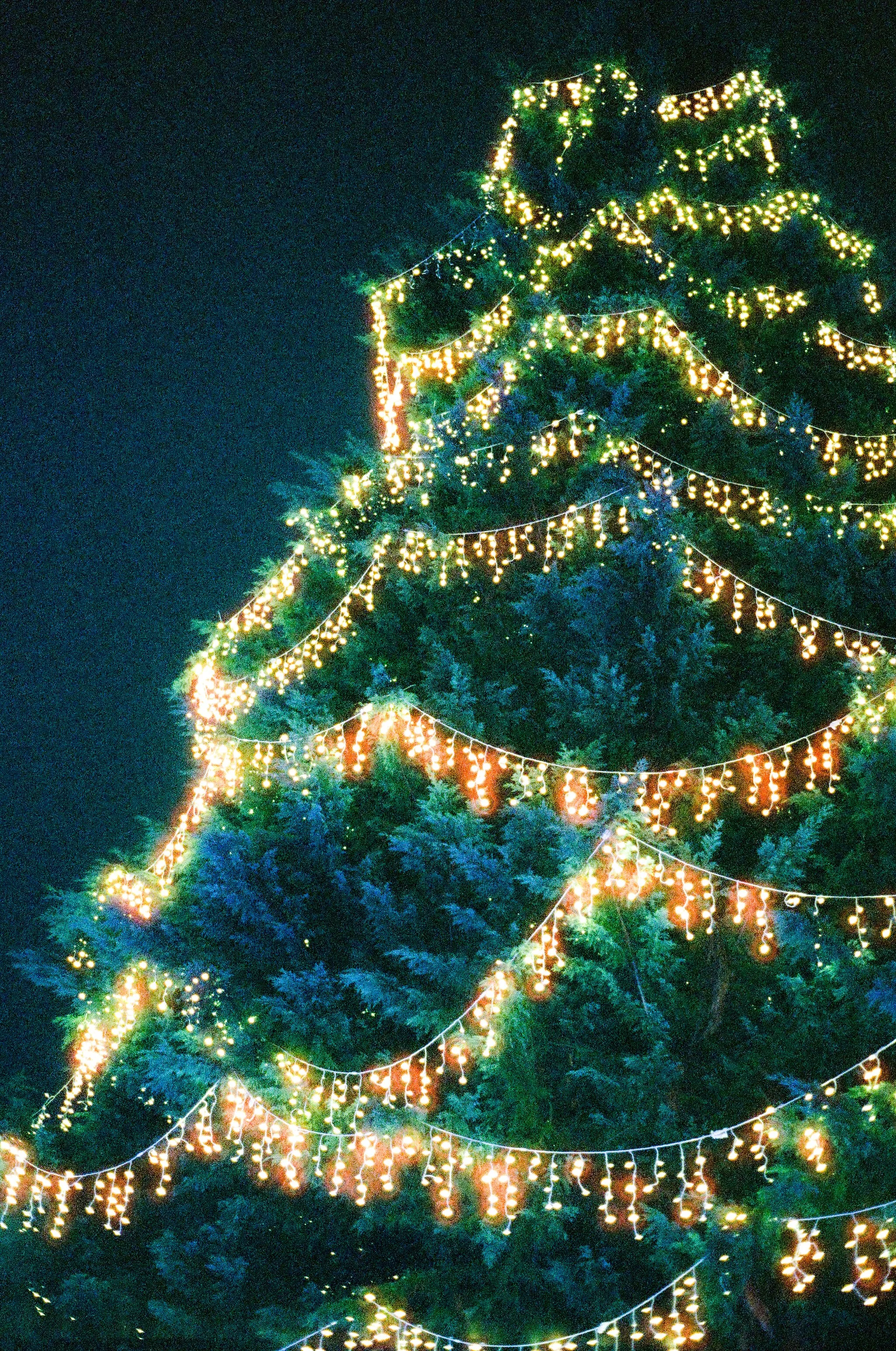 A decorated Christmas tree with string lights and ornaments at night.