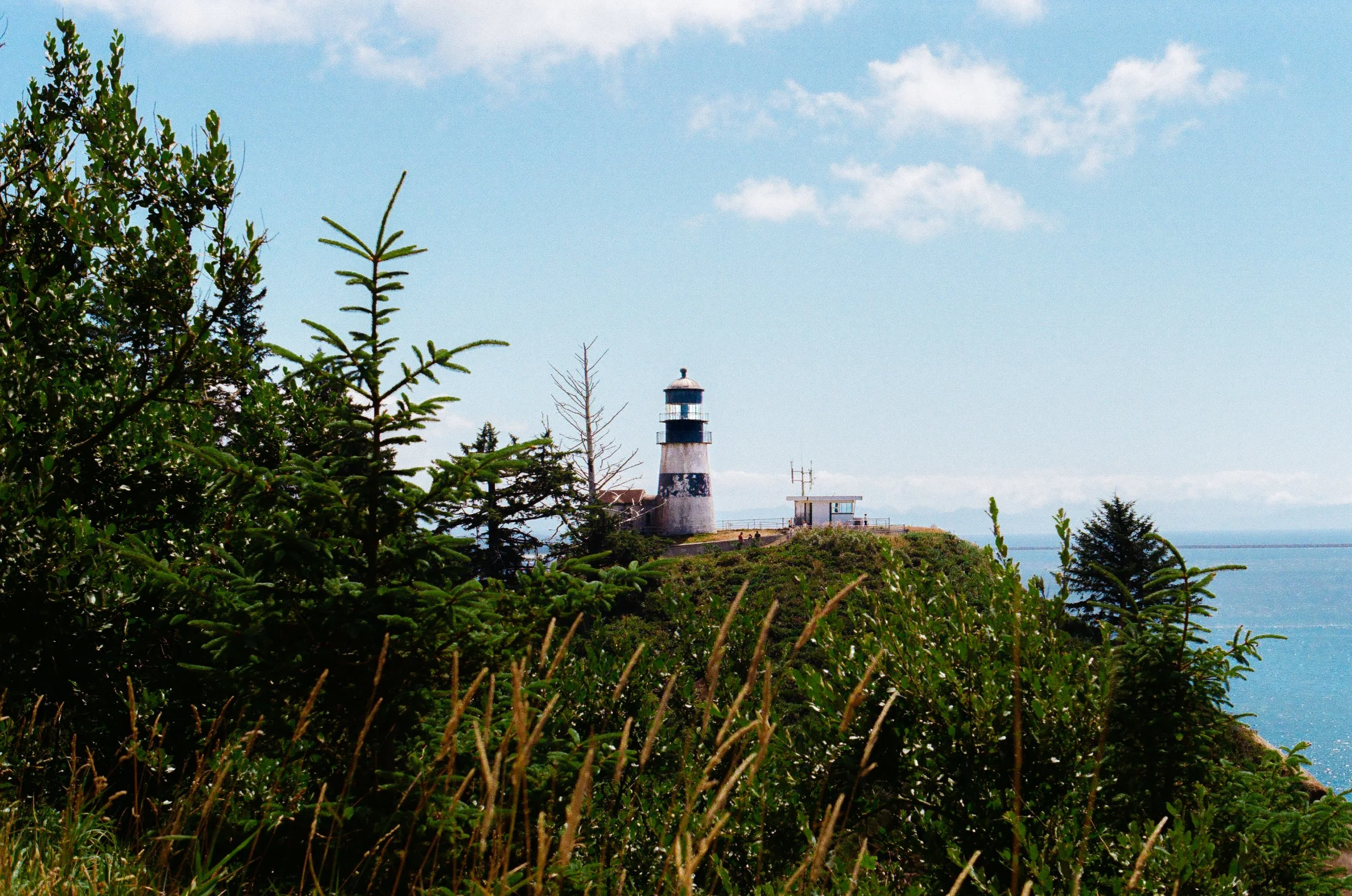 A lighthouse on a rocky hill with lush green trees and bushes, overlooking the ocean on a partly cloudy day.