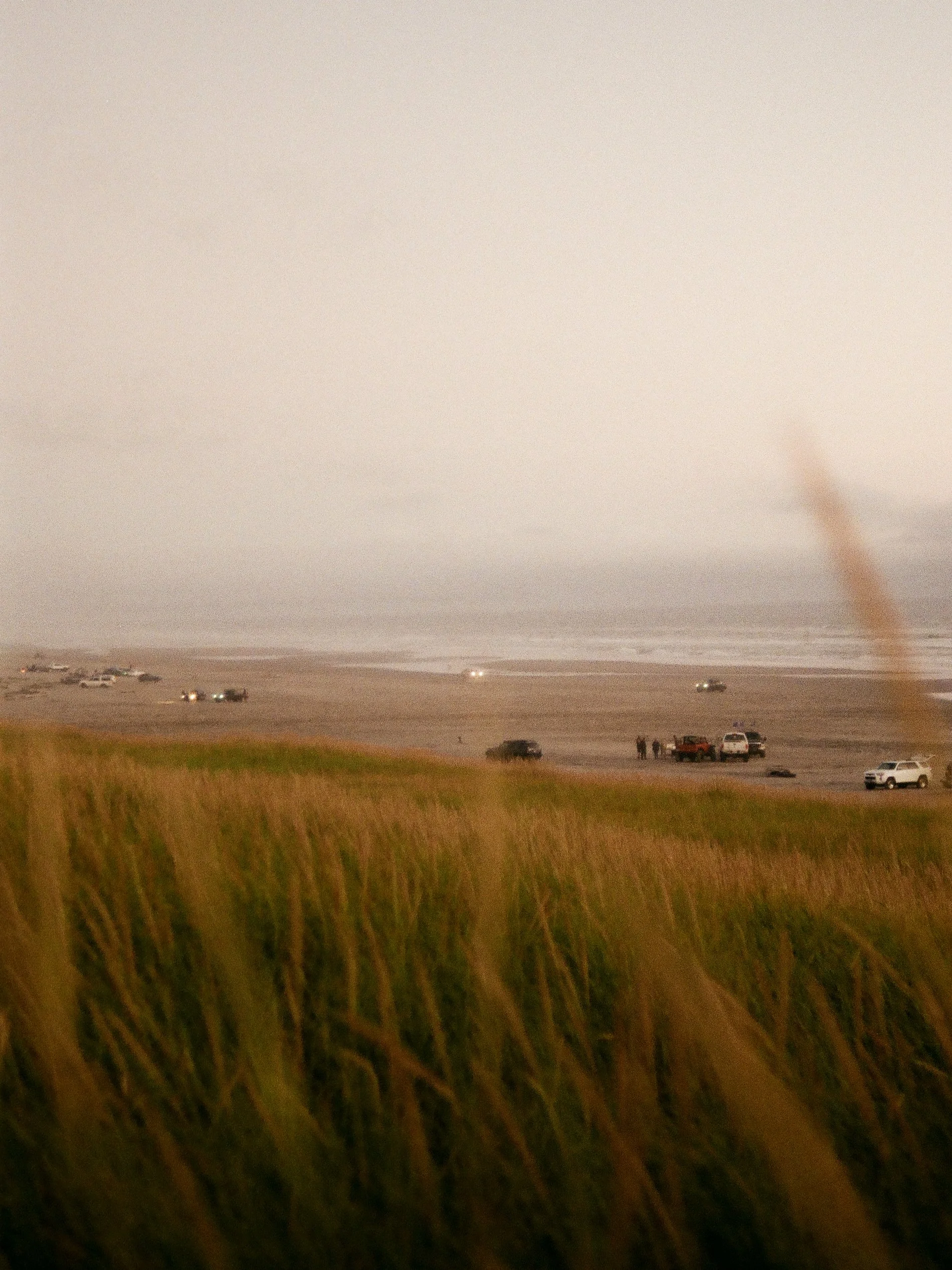 Beach with vehicles and people, grassy dunes in the foreground, overcast sky in the background.