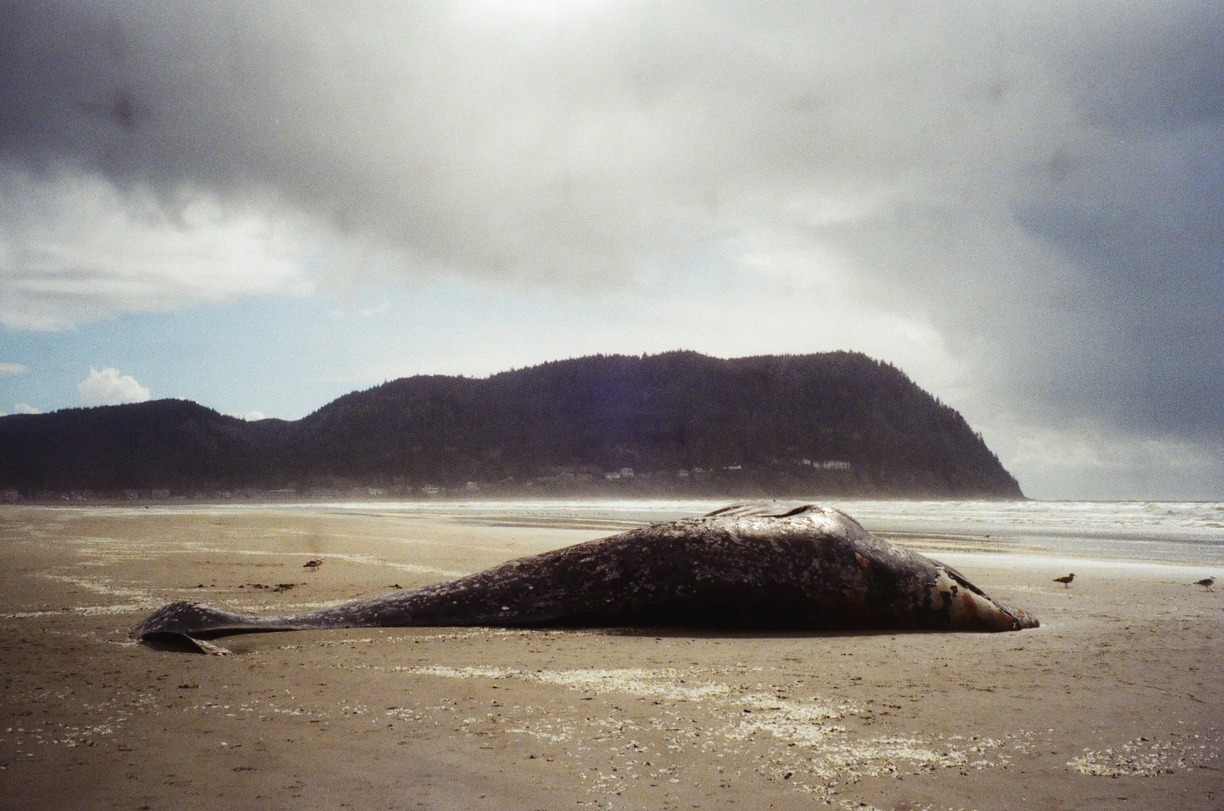 seaside-2.jpg