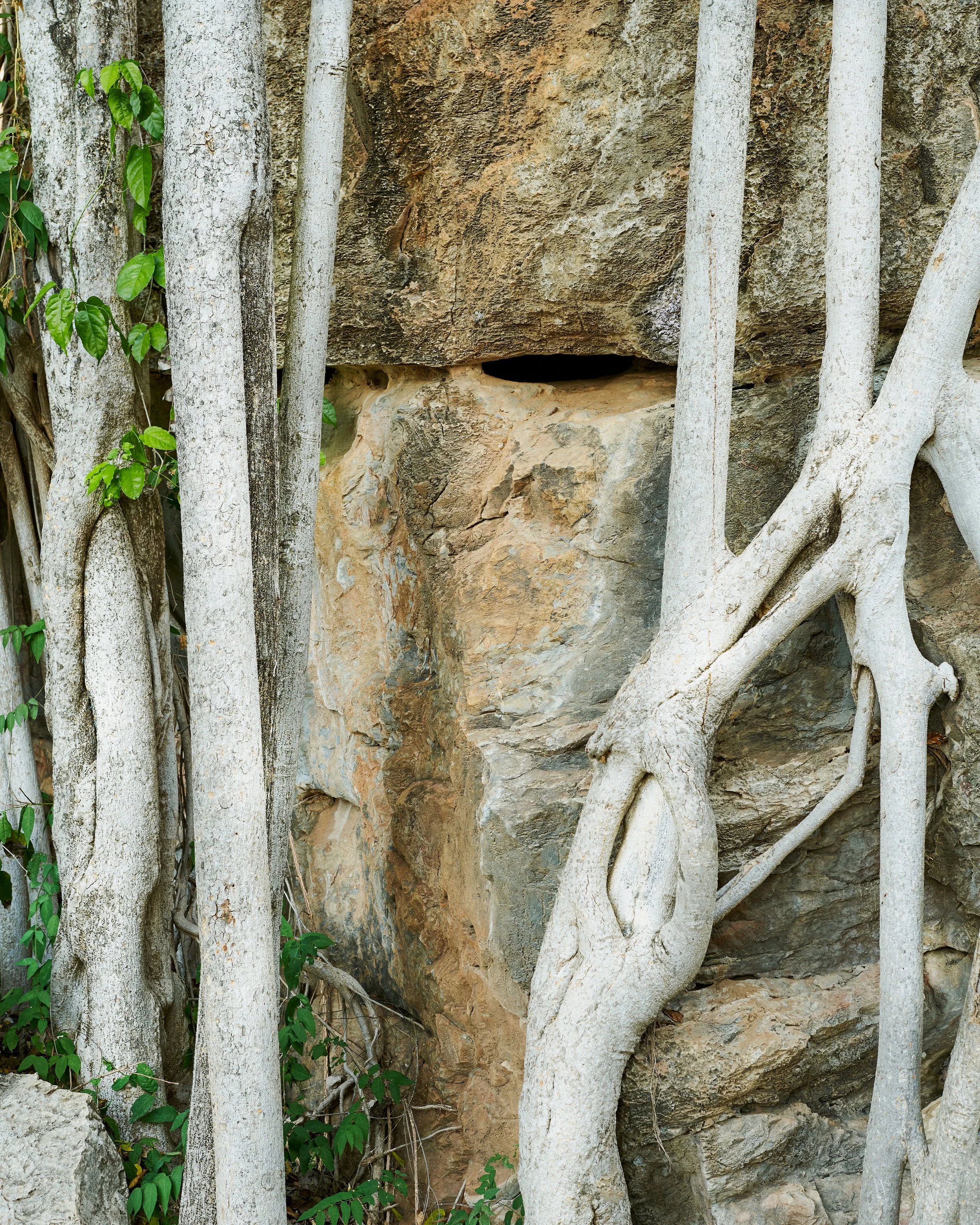 Garden_7964.jpg