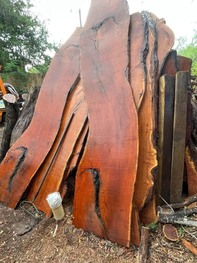 Large cut and polished slabs of reddish-brown wood stacked outdoors, with some black streaks or markings, and surrounded by other pieces of wood and natural outdoor elements.