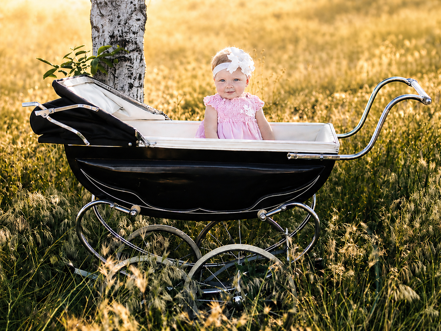 A baby girl in a pink dress and white headband sitting in a vintage black and white stroller in a grassy field with a tree in the background, illuminated by warm sunlight.