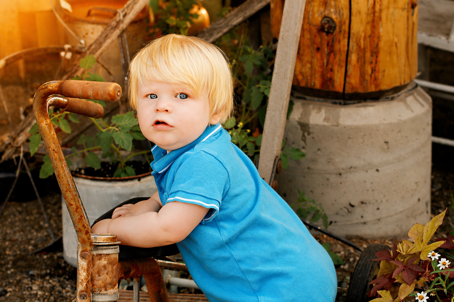 A young boy with blonde hair, blue eyes, wearing a blue polo shirt, leaning on a rusty old pedal tractor in a garden.