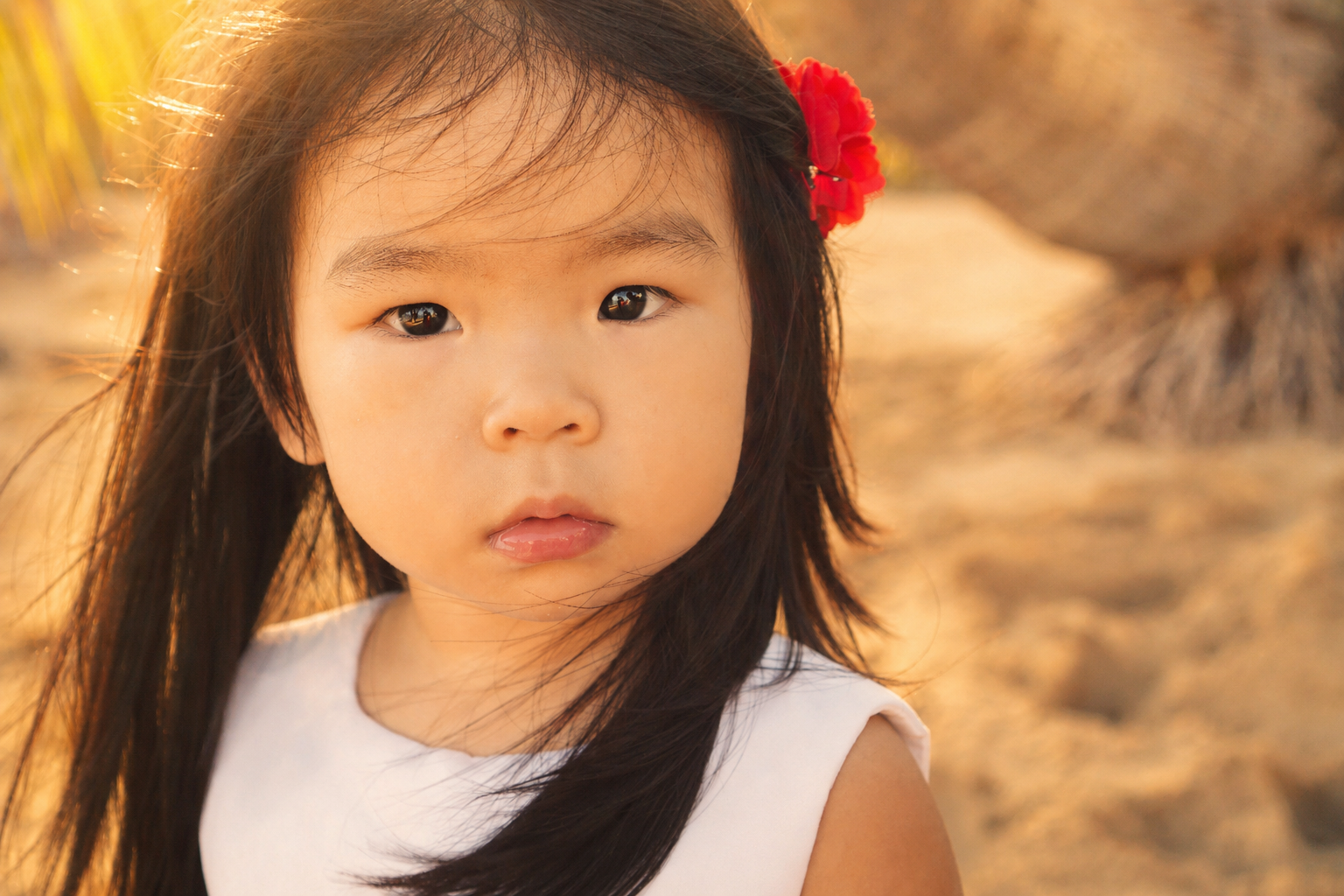 A young girl with long dark hair and a red hair clip, looking directly at the camera, outdoors with warm sunlight and blurred natural background.