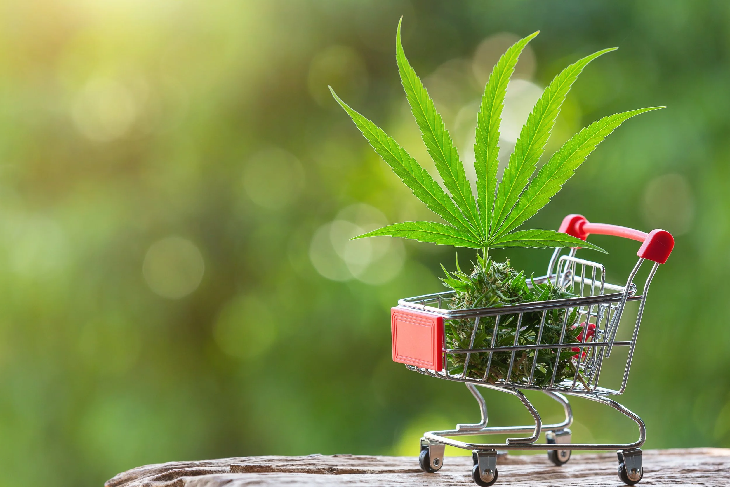 July 2022 - The Cannabis Collapse