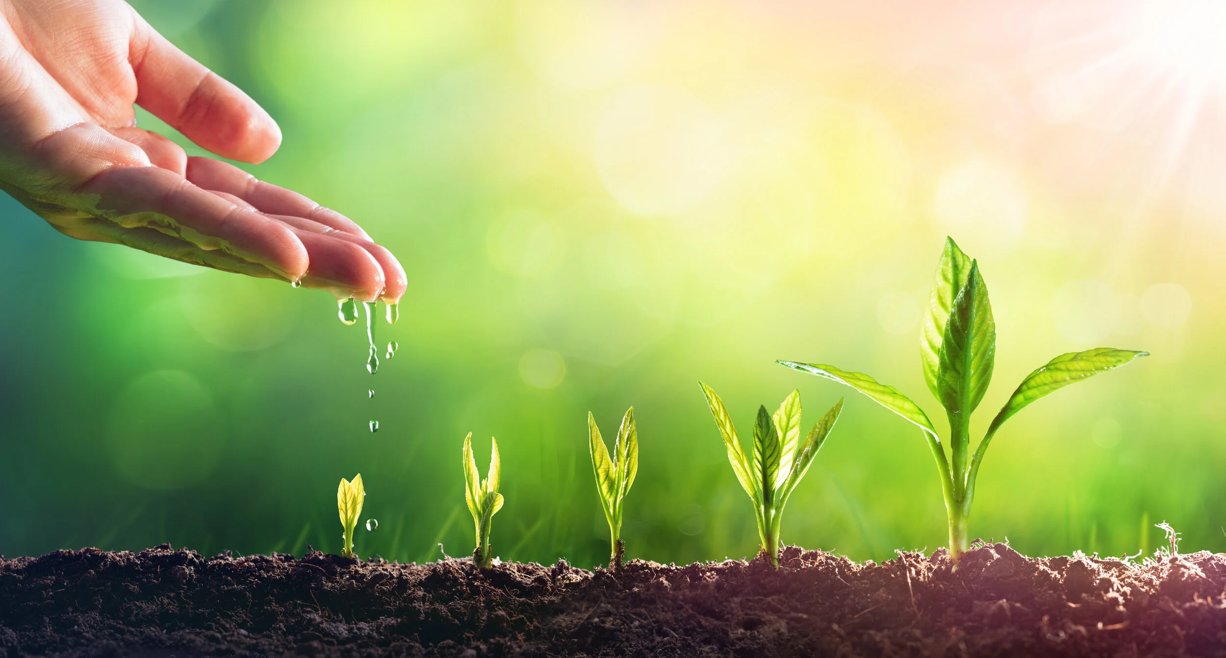 Valuing Early Stage Companies with Complex Capital Structures