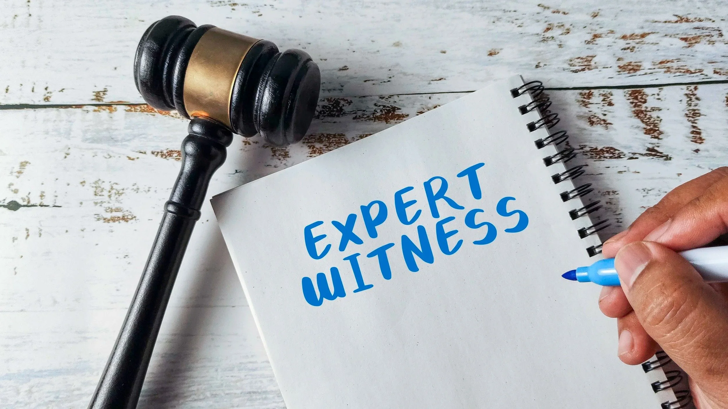 Working with an Economic Damages Expert: A Practical Guide for Counsel