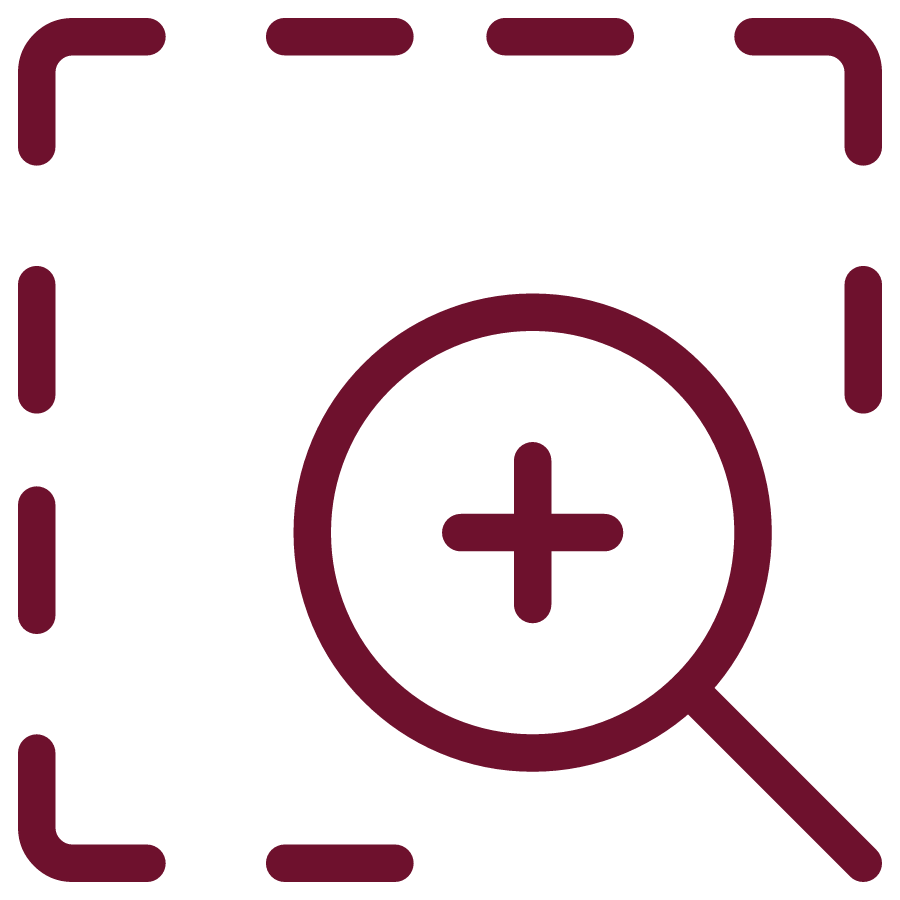 magnifying glass icon